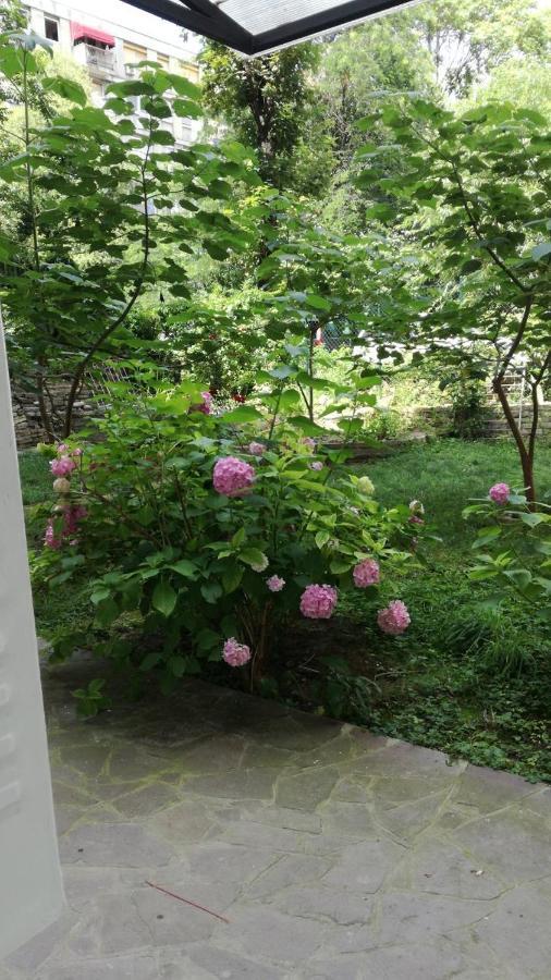 Vracar Krunska Jamiva Apartment Beograd Bagian luar foto